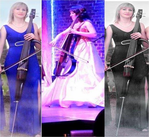foreigner cello players jaipur