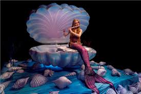 best flute mermaid act jaipur