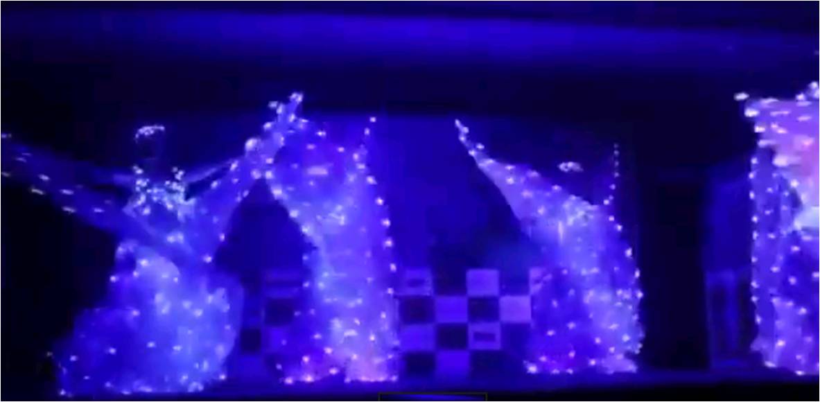 famous foreigner led dance act jaipur