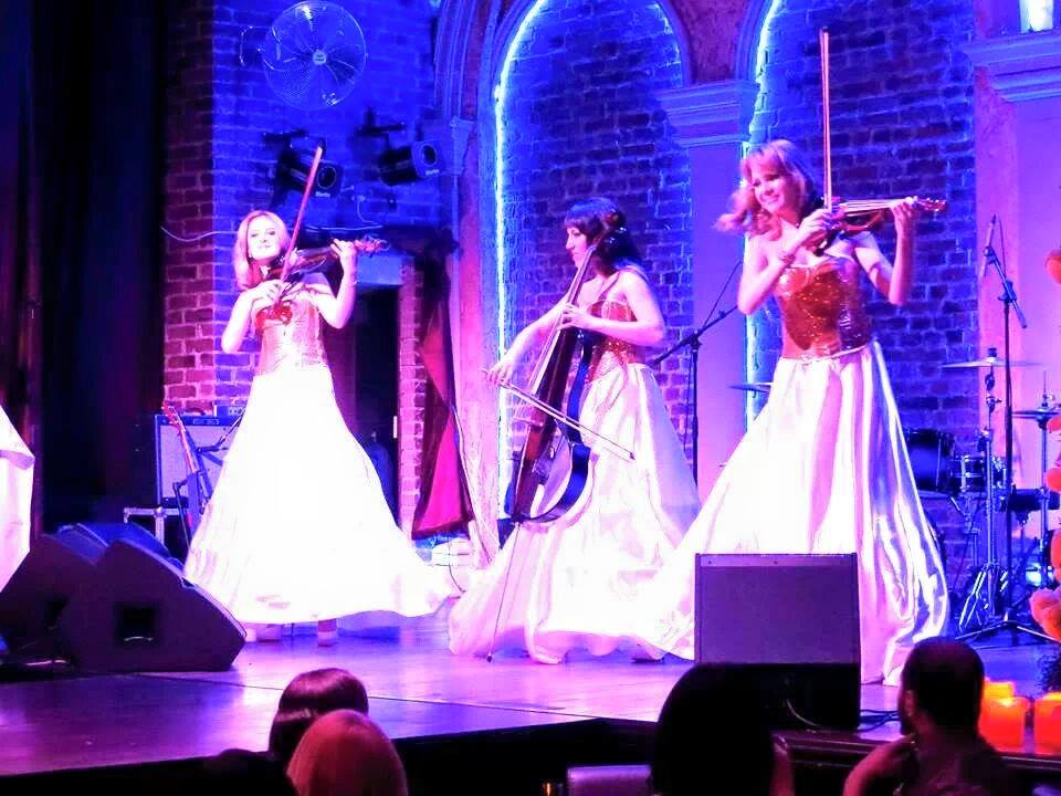 best foreigner trio musicians jaipur