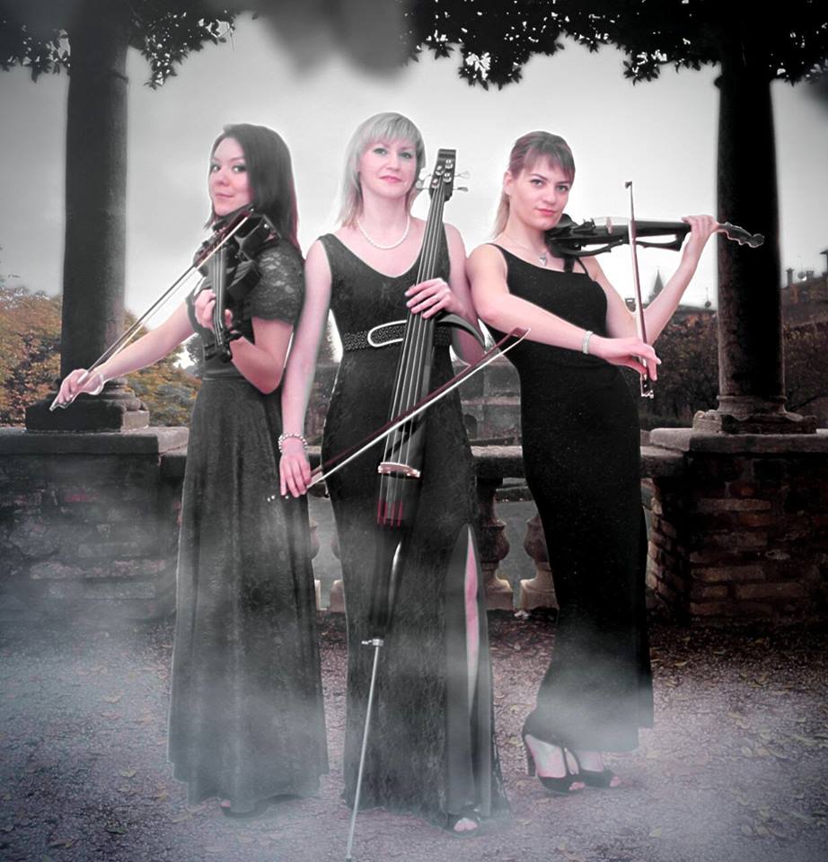 best foreigner trio violin band jaipur
