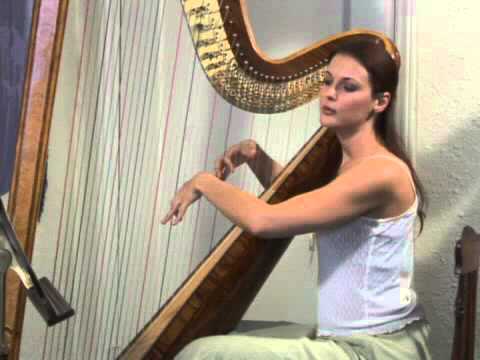 international harp players jaipur